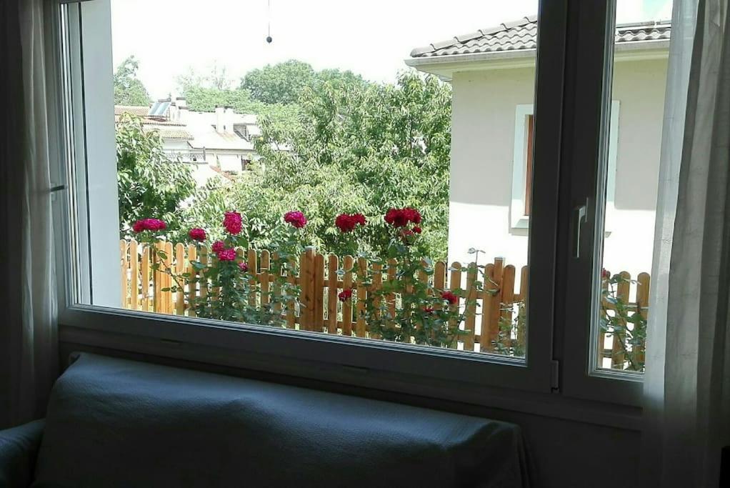 Lily's